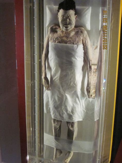 Image result for Multiprogramming vs Multitasking with Criterion