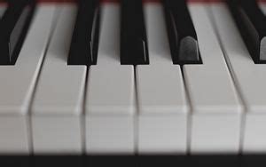 Wallpaper piano, keys, musical instrument, macro, bw hd, picture, image