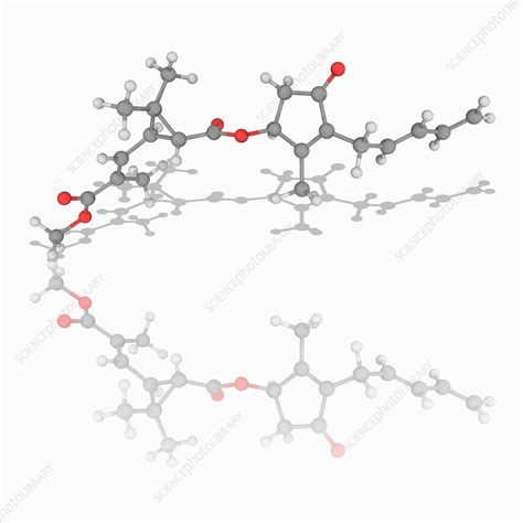 Image result for Pyrethrin Uses