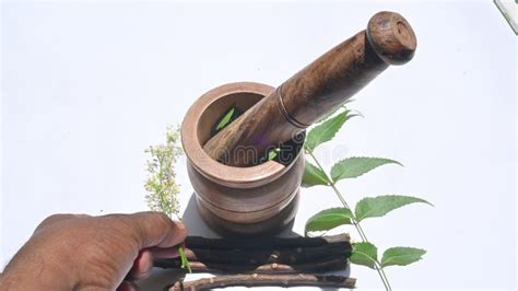 Nature Medicine 的图像结果