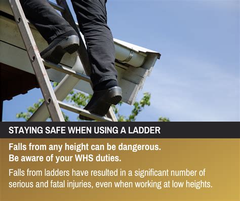 Using an Extended Ladder Safely 的图像结果