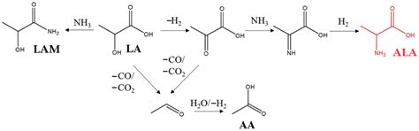 Highly Efficient Ru-Based Catalysts for Lactic Acid Conversion to Alanine