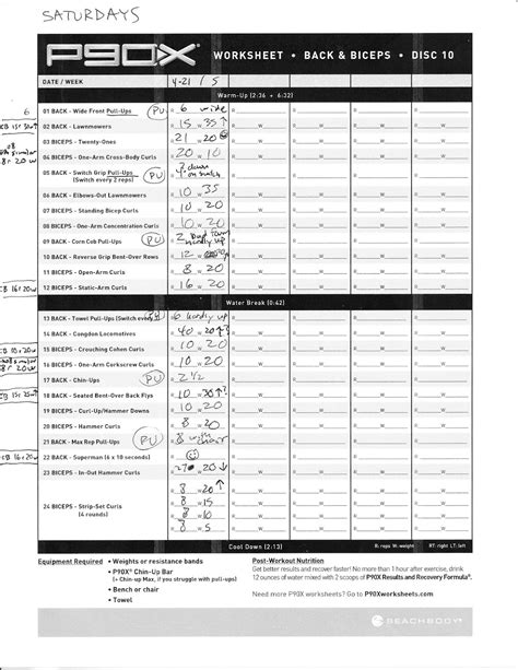 P90x Back And Biceps Exercises