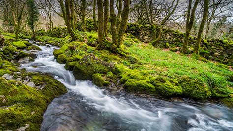 Babbling Brook – Bing Wallpaper Download
