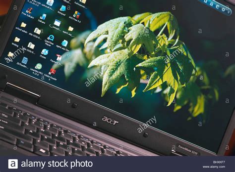 Image result for Computer Screen Desktop with Icons