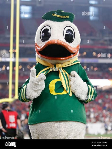 Glendale, Arizona, USA. 1st Jan, 2024. Oregon Ducks mascot durning the ...