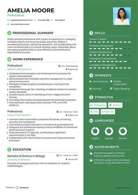 Resume Example 的图像结果