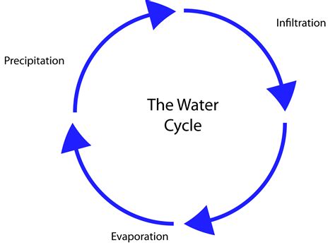 Cycle Detection in Directed Graph 的图像结果