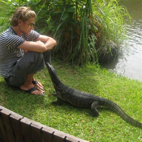 Alligator Exploding Meme 的图像结果