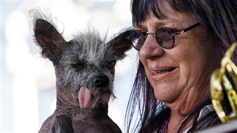 Meet the 2023 World's Ugliest Dog contestants