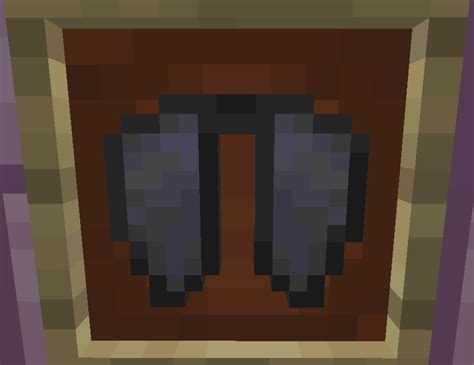 Image result for How to Use the Elytra Java Easy Way