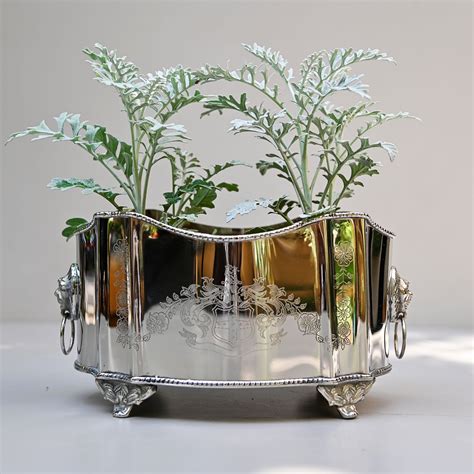 Brass & Steel Indoor Planter – Mora Taara