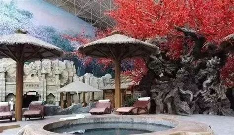 赤峰青莱格温泉洗浴 - 大连能量温泉研究所