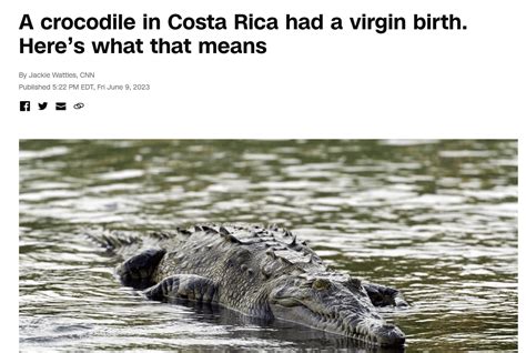 This website that can moan your ip address : r/ofcoursethatsathing