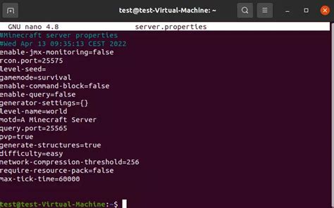 Setup Minecraft JavaServer Linux 的图像结果