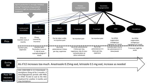 Management of Male Fertility in Hypogonadal Patients on Testosterone ...