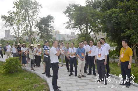 湛江吴川两级人大代表调研鉴江饮用水源保护工作 -吴川市人民政府门户网站