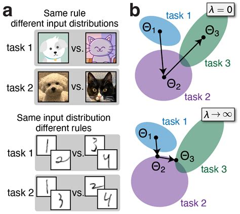 Continual Learning Ai 的图像结果
