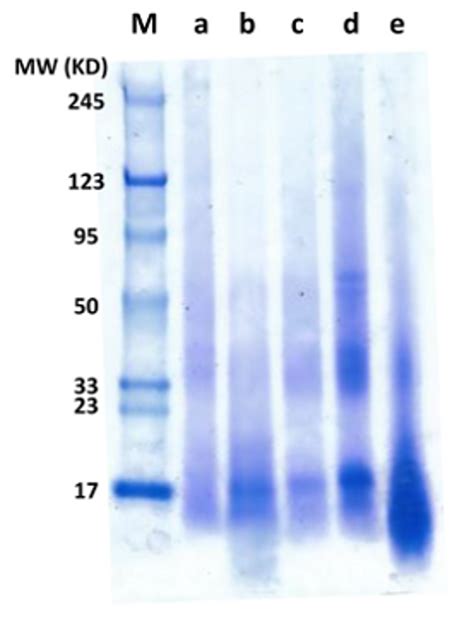 Towards the Properties of Different Biomass-Derived Proteins via ...