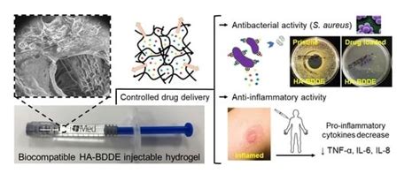 Drug Delivery from Hyaluronic Acid–BDDE Injectable Hydrogels for ...