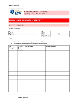 67+ Free Editable Summary Report Templates in MS Word [DOC] | pdfFiller