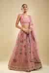 Buy Pink Net Sequins, Embroidery V-neck Lehenga Set For Women by ...