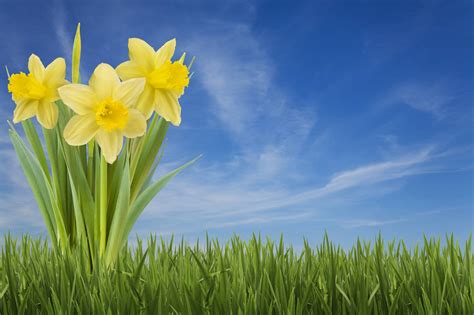 Image result for Spring March