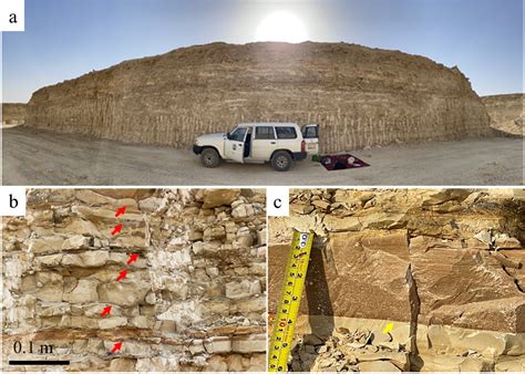 Sedimentological and Geochemical Evaluation of the Lower Cretaceous ...