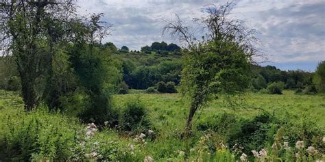 Twyford Down and Chilcomb: 5.5 miles, The King's Royal Rifle Corps War ...