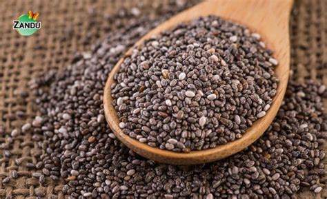 Chia Seeds vs Flax Seeds: Benefits, Uses, and Which is Better?