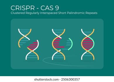 Image result for CRISPR Tutorial