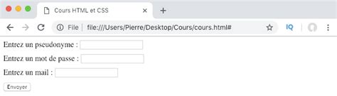 Formulaire HTML CSS 的图像结果