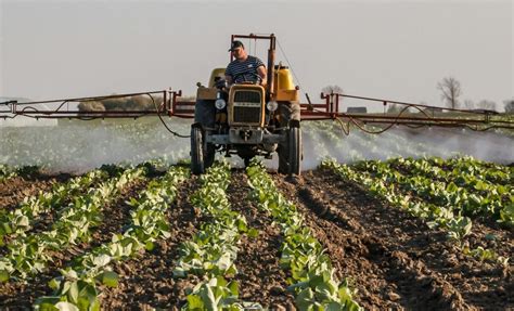 Deforestation 的图像结果