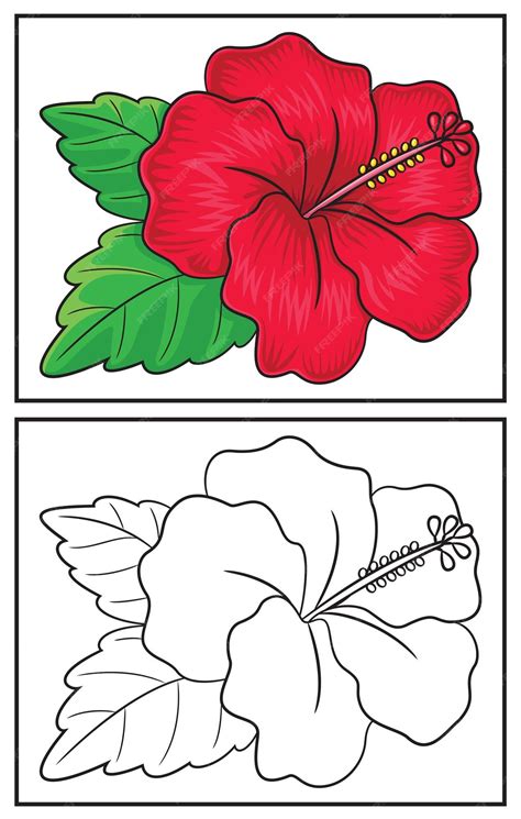 Hibiscus Colouring Page