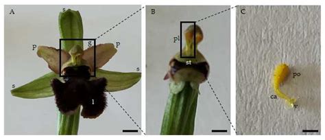What Is Temporal Isolation