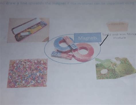 study the picture below and draw a line towards the magnet if the ...