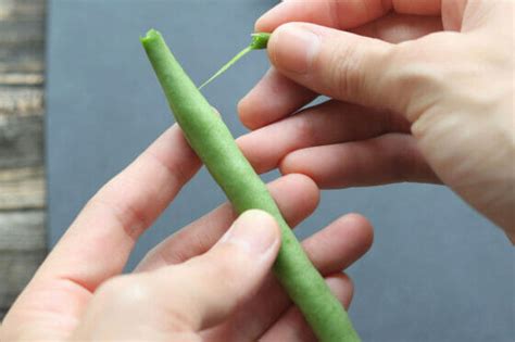 Image result for Simple CSS Animation Examples
