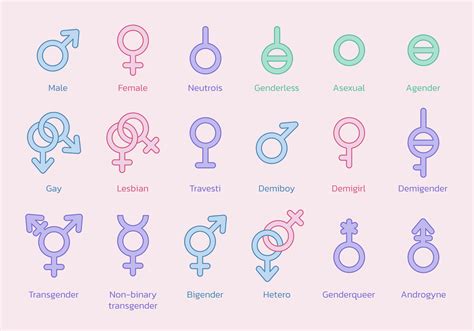 Descubre los diferentes tipos de orientación sexual - LGBTQ Shop
