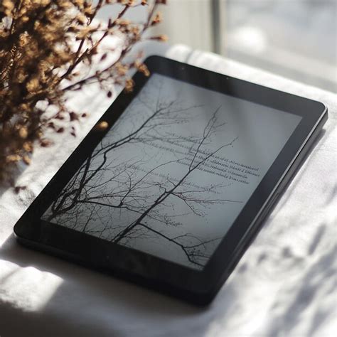 Image result for First eReader