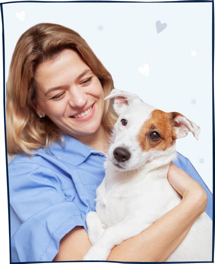 Image result for AVImark Veterinary Software Tutorial