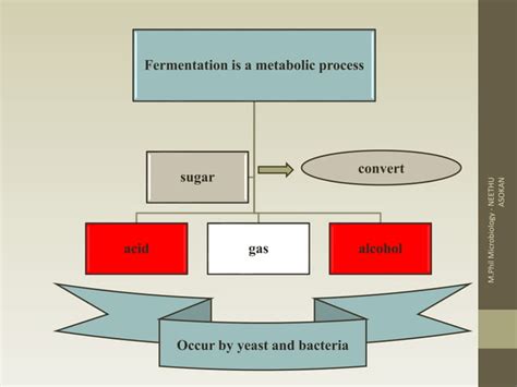 Image result for Upstream Process Definition