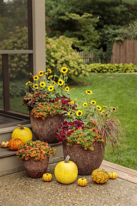 28 Fall Garden Ideas & Tips for a Vibrant Landscape