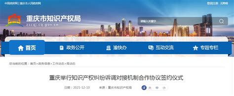 重庆建立市级、区县知识产权纠纷诉调对接合作机制 - 哔哩哔哩