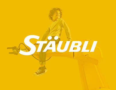 Staubli Tutorial 的图像结果