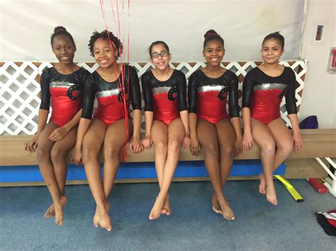 Girls Gymnastics: Beginner to Advanced | Gymnastics for Girls | Aviator