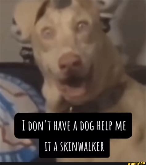 DON T HAVE A DOG HELP ME A SKINWALKER - iFunny