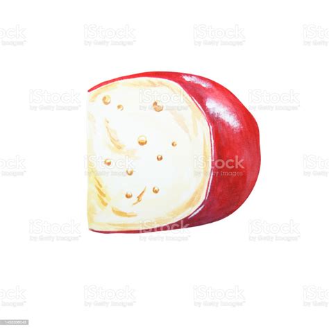 Watercolor Drawing Of Fresh Natural Cheese Isolated On White Background ...