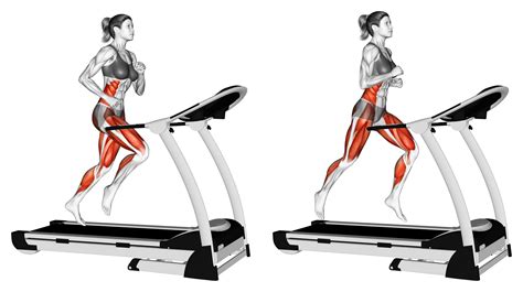 Incline Walking vs Running: Is there a Difference? - Inspire US