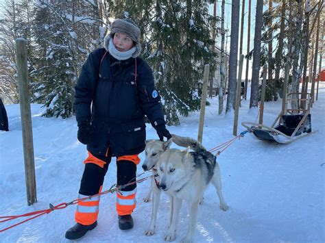 KORVALA LOG CABINS AND HUSKY TOURS (Rovaniemi) - Campground Reviews ...