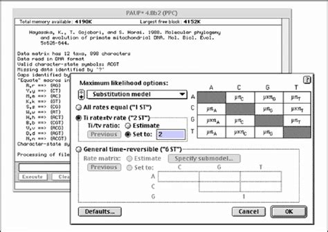 Image result for Paup 4 Example of Data File